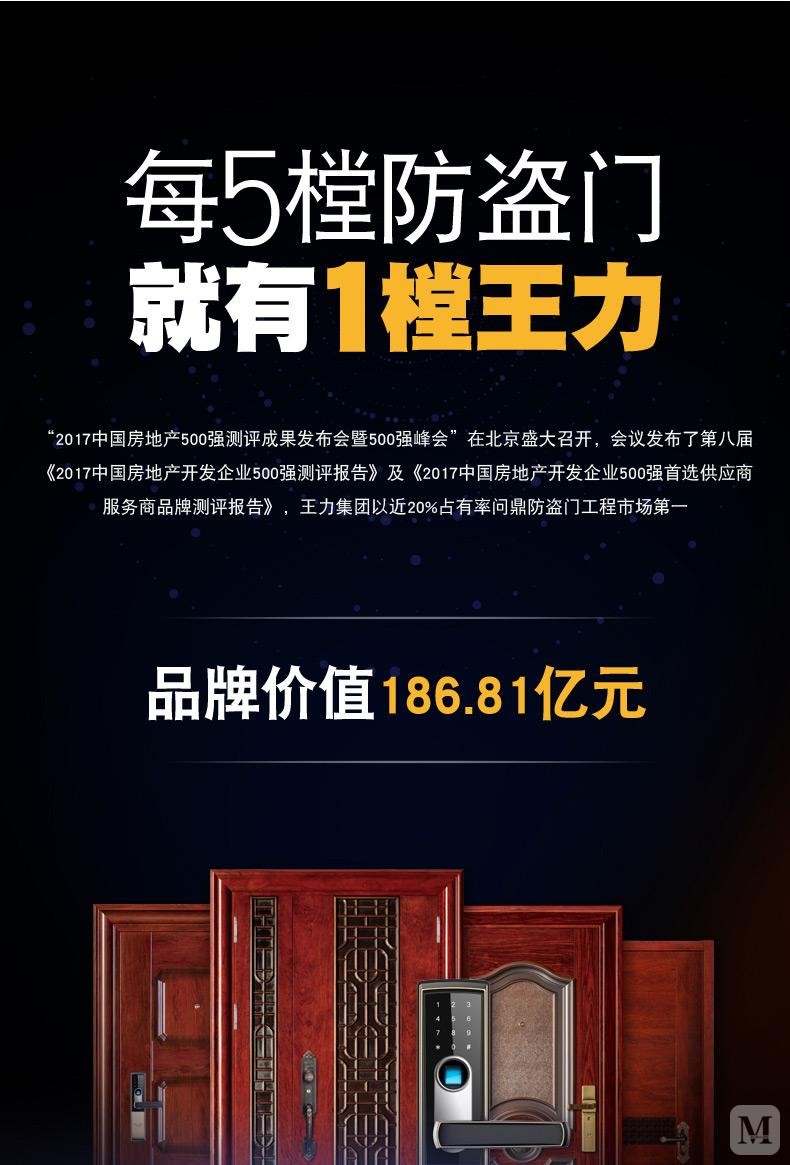 王力 安全门 y-101