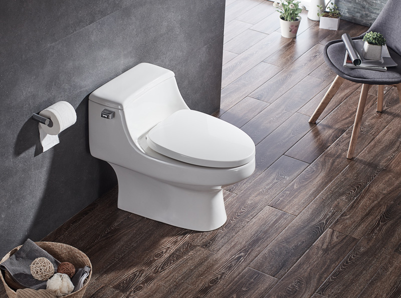 卡丽连体座便器30075tswk