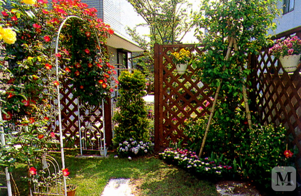 庭院绿化设计图片以及室内绿化的基本要求 红星美凯龙资讯网