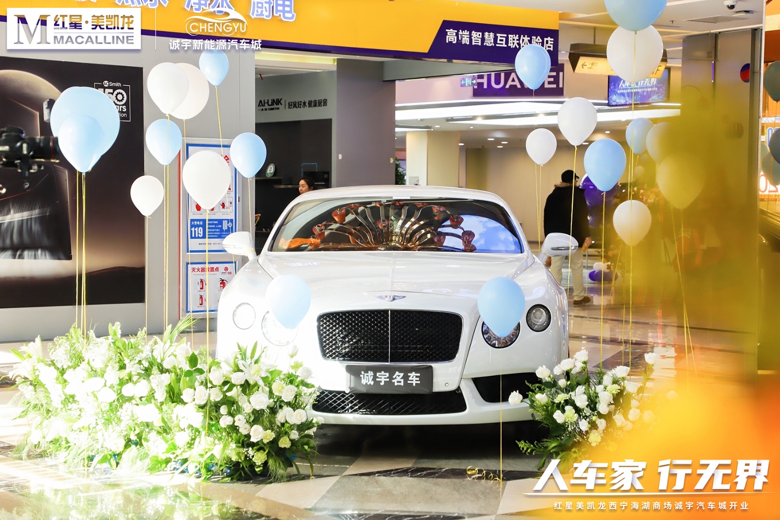 17337738625096056 17337738625096056